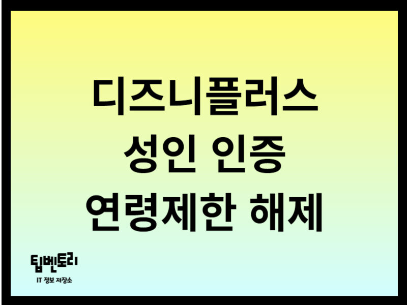 디즈니플러스 성인 인증 방법