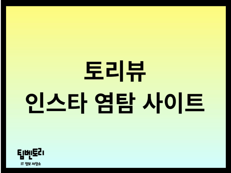 토리뷰 인스타 염탐 사이트
